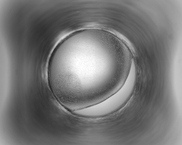 X0000087641288200705101040