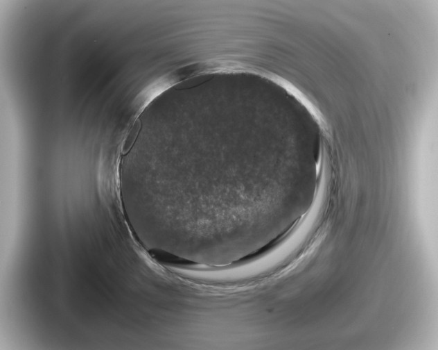 X0000087641289200705101040