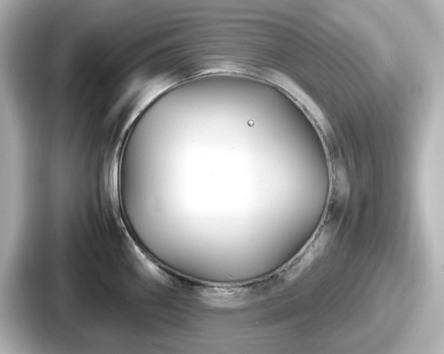 X0000087641290200705101040