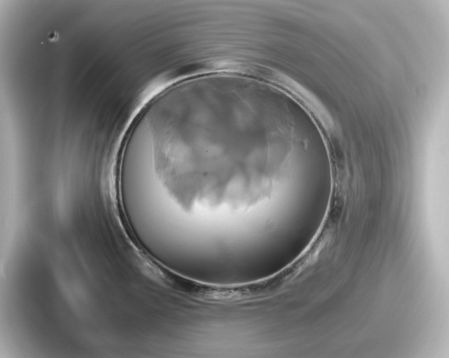 X0000087641291200705101040