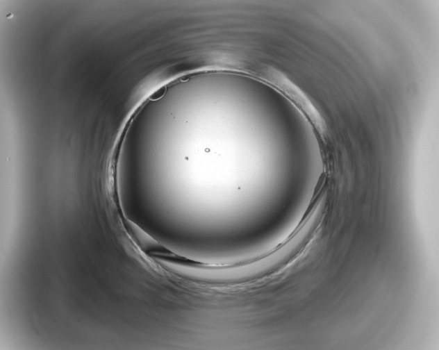 X0000087641292200705101040