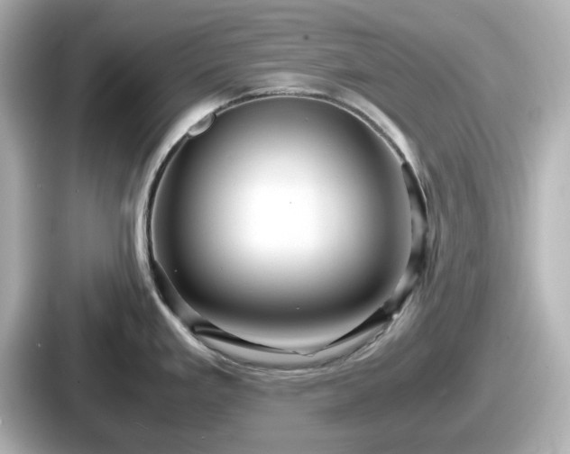 X0000087641293200705101040