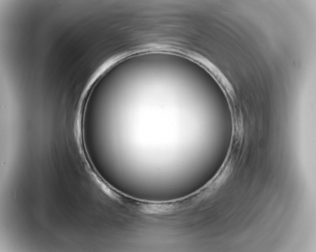 X0000087641294200705101040