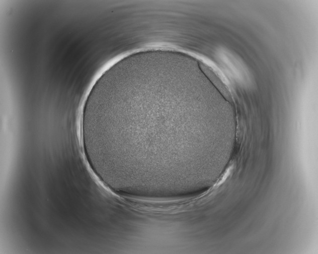 X0000087641295200705101040