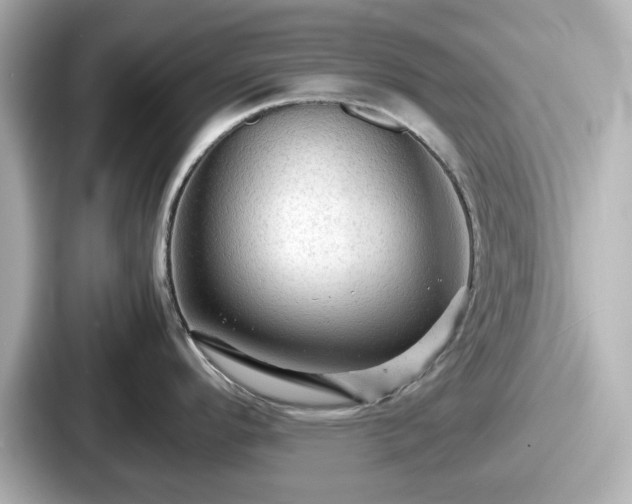 X0000087641296200705101040