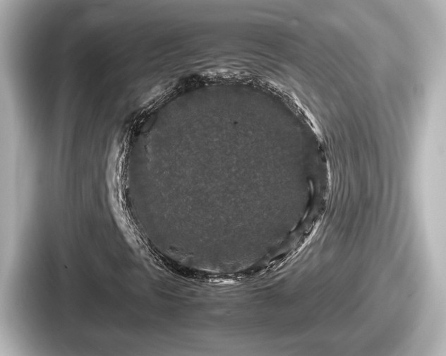 X0000087641297200705101039