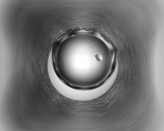 X0000087641298200705101039