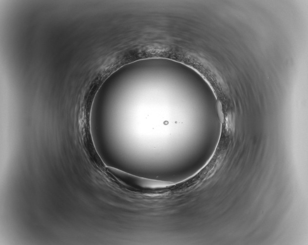 X0000087641299200705101039