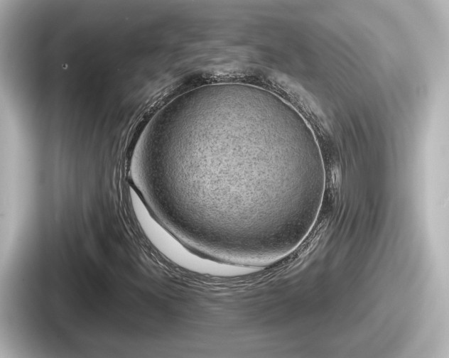 X0000087641300200705101039