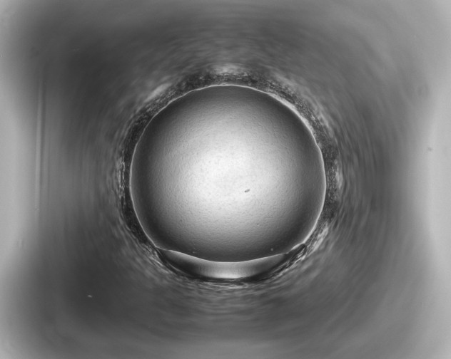 X0000087641301200705101039