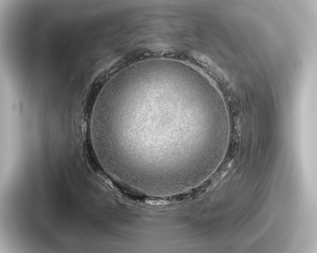 X0000087641302200705101039