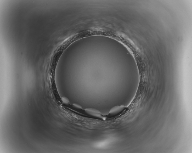 X0000087641303200705101039