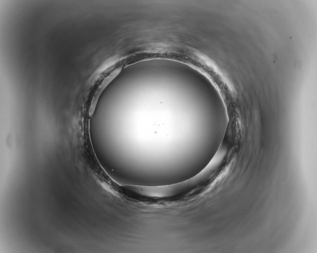 X0000087641304200705101039