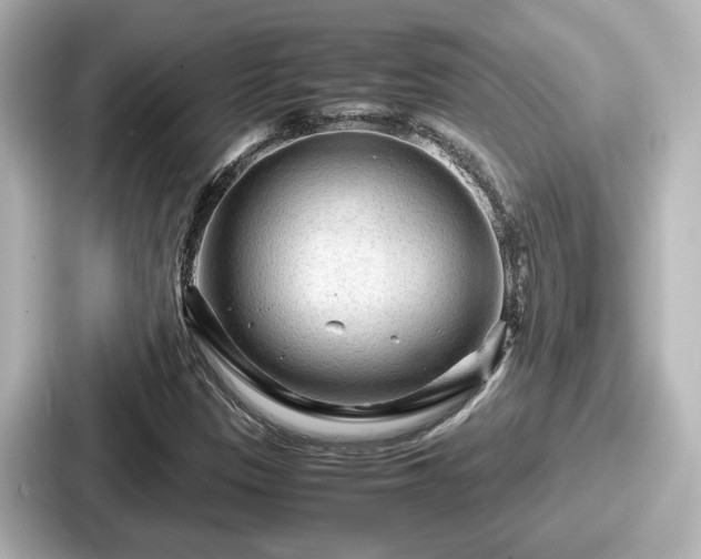 X0000087641305200705101039