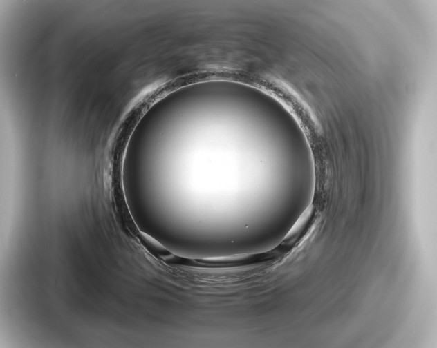 X0000087641307200705101039