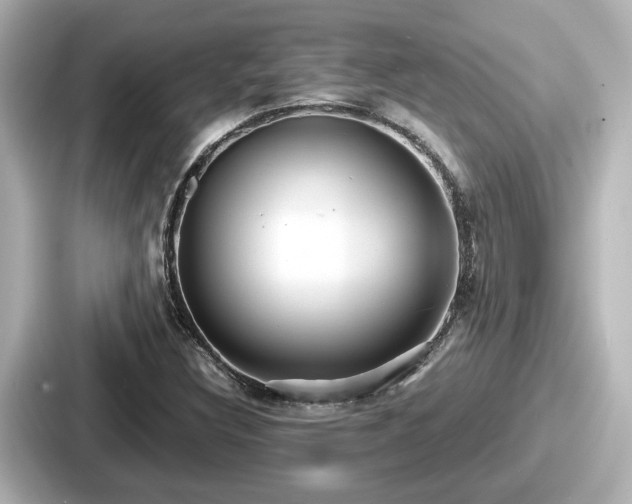 X0000087641308200705101039