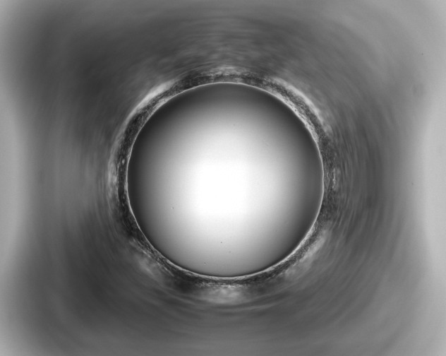 X0000087641309200705101039