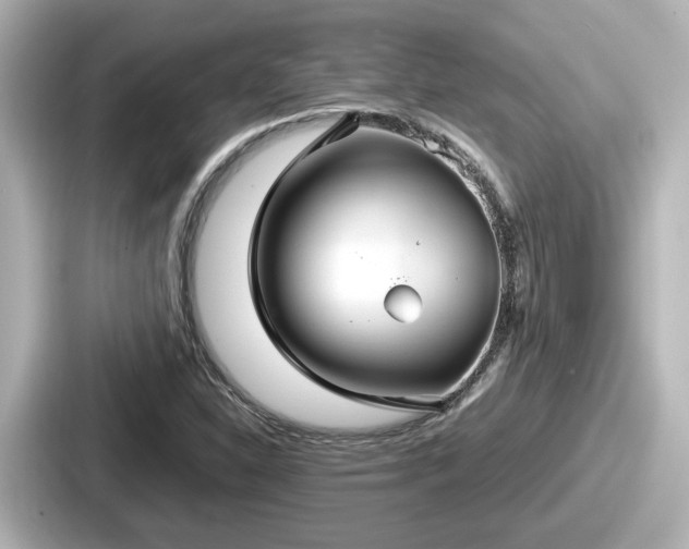 X0000087641310200705101039