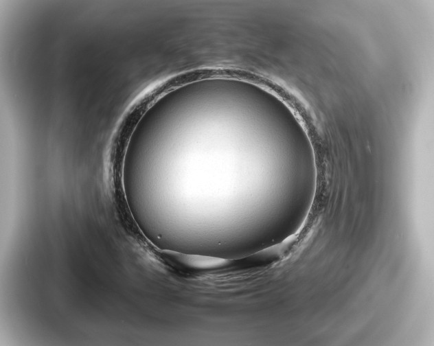 X0000087641311200705101039