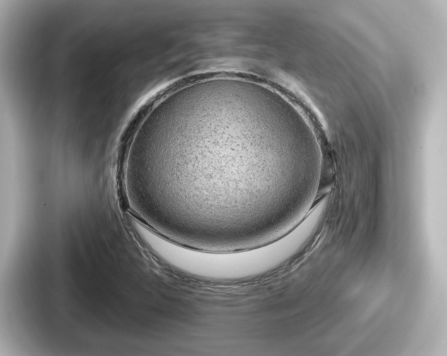 X0000087641312200705101039