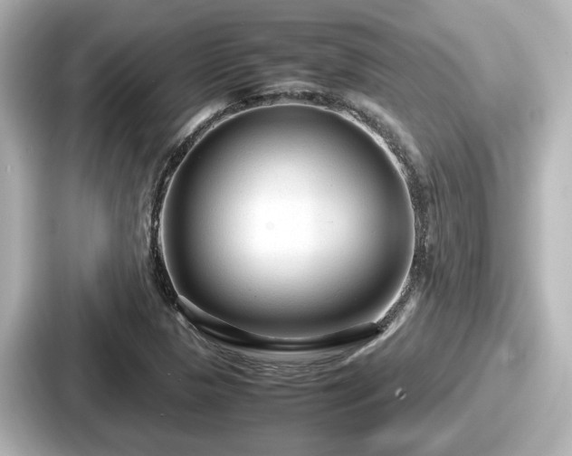 X0000087641313200705101039