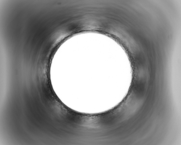 X0000087641314200705101040