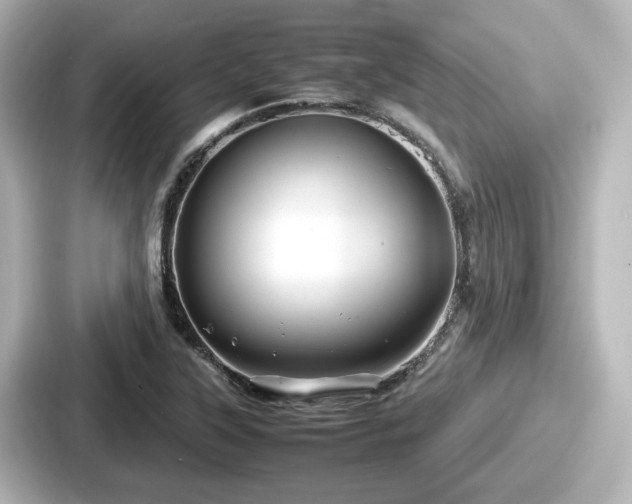 X0000087641315200705101040