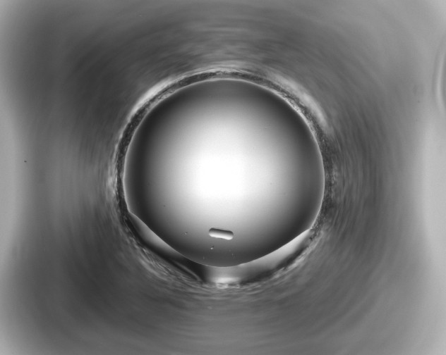 X0000087641316200705101040