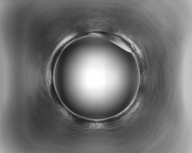 X0000087641317200705101040