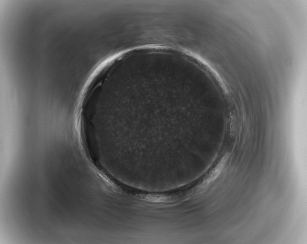 X0000087641319200705101040