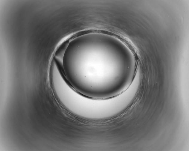 X0000087641320200705101040