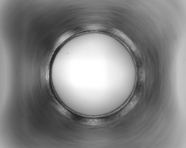 X0000087641322200705101040