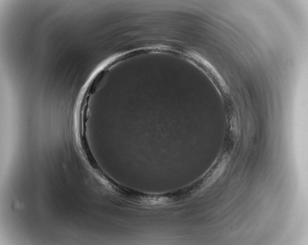 X0000087641323200705101040