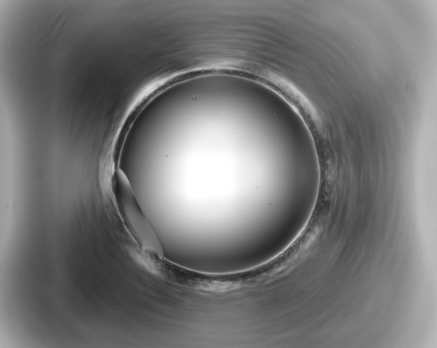 X0000087641324200705101040