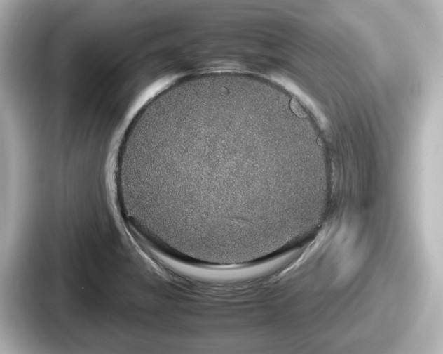 X0000087641325200705101040