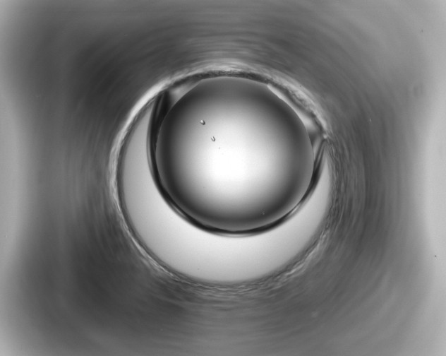 X0000087641326200705101040