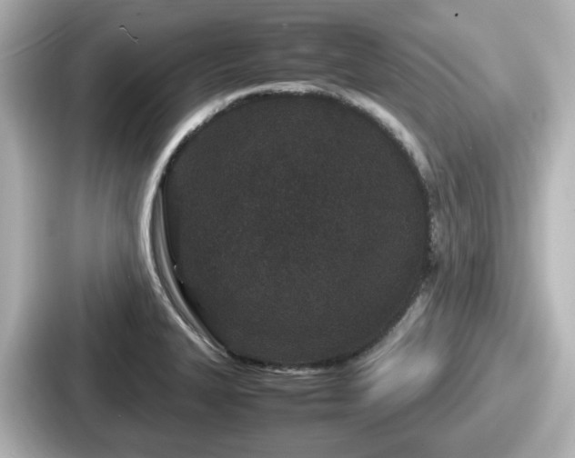 X0000087641327200705101040