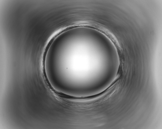 X0000087641328200705101040