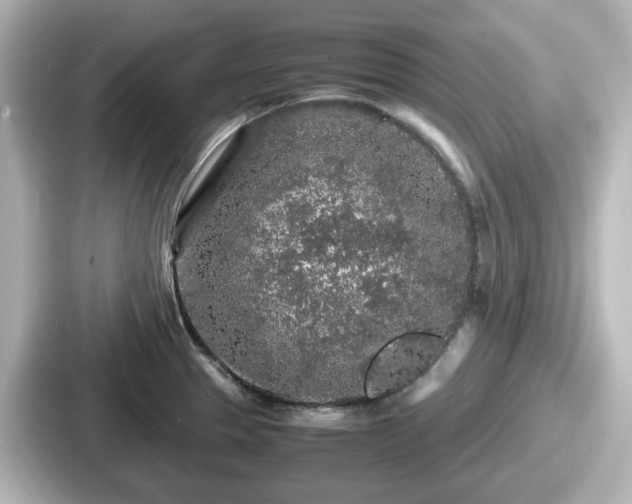 X0000087641329200705101040