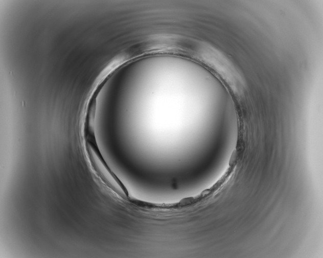 X0000087641330200705101040