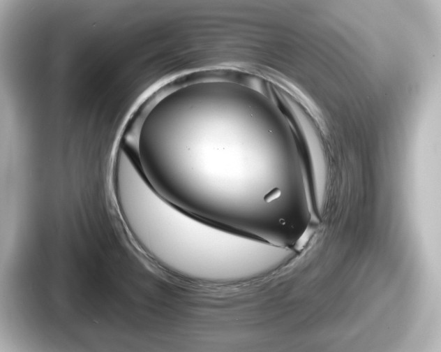 X0000087641332200705101040