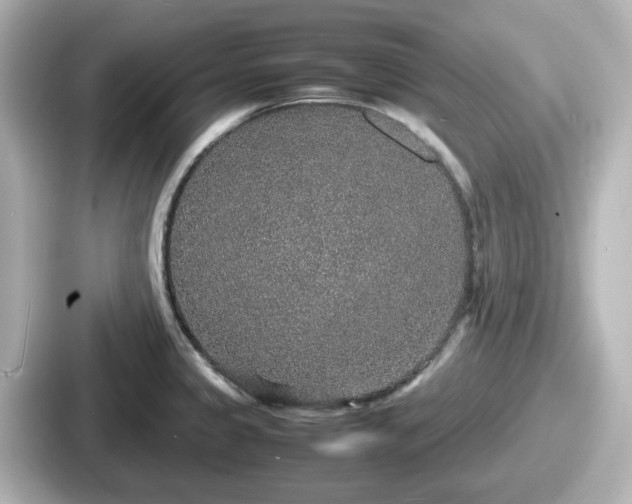 X0000087641333200705101040