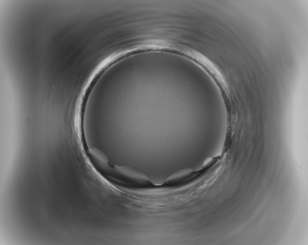 X0000087641334200705101040