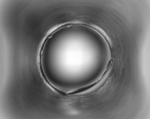 X0000087641335200705101040