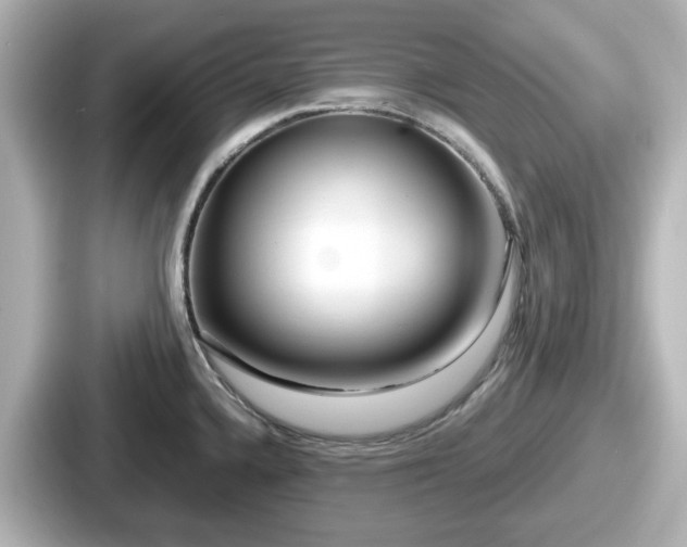 X0000087641336200705101040