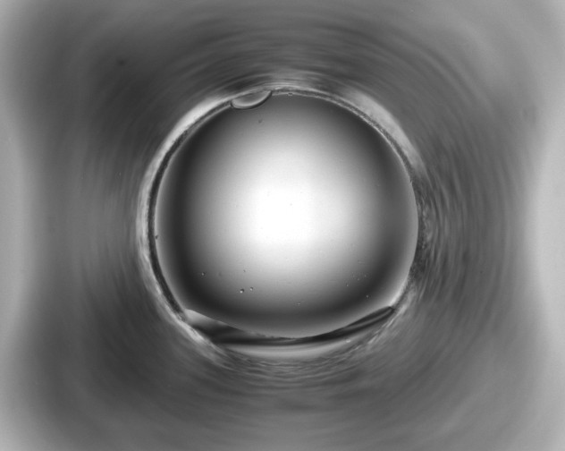 X0000087641339200705101040