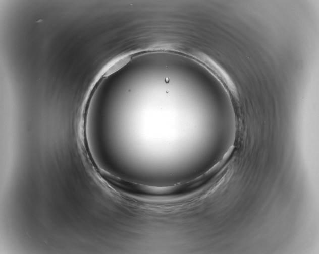 X0000087641340200705101040