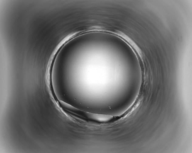 X0000087641341200705101040