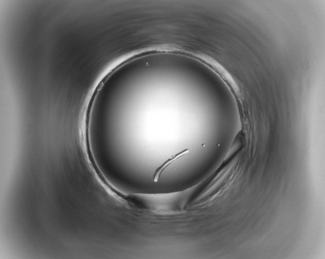 X0000087641343200705101040