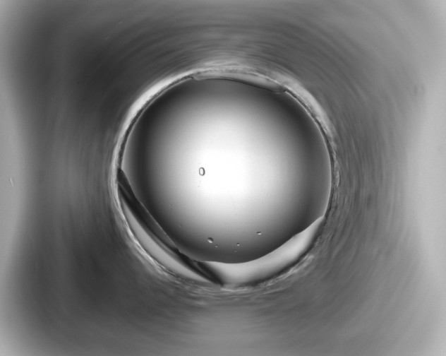 X0000087641344200705101040